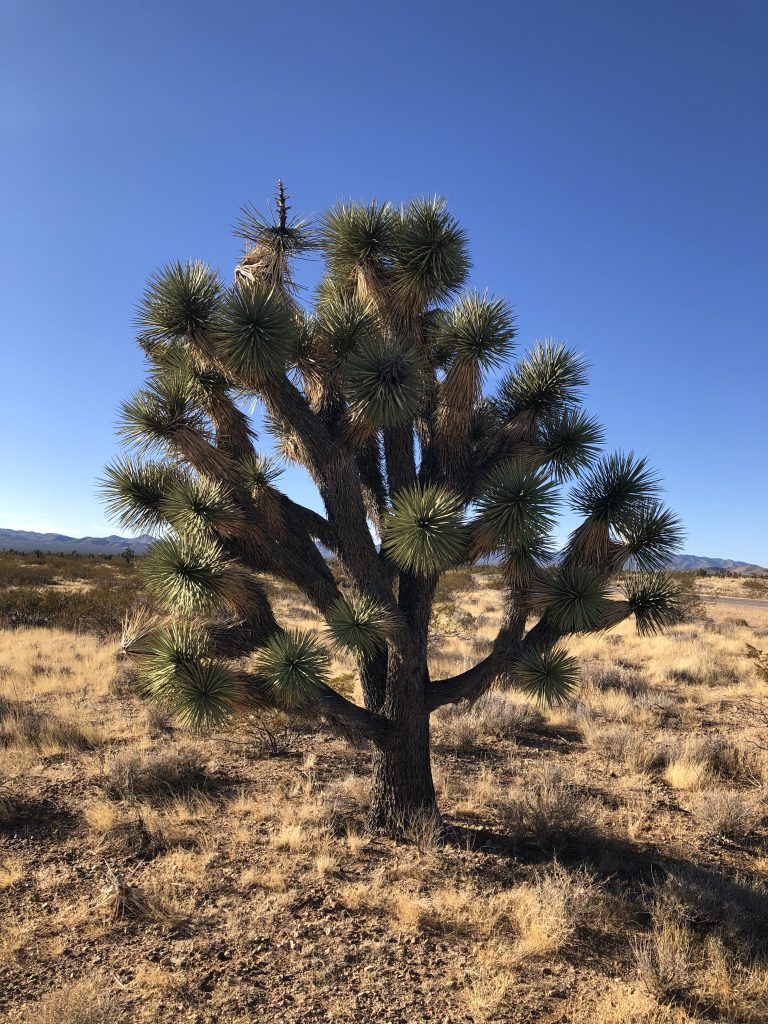 Sustainability matters